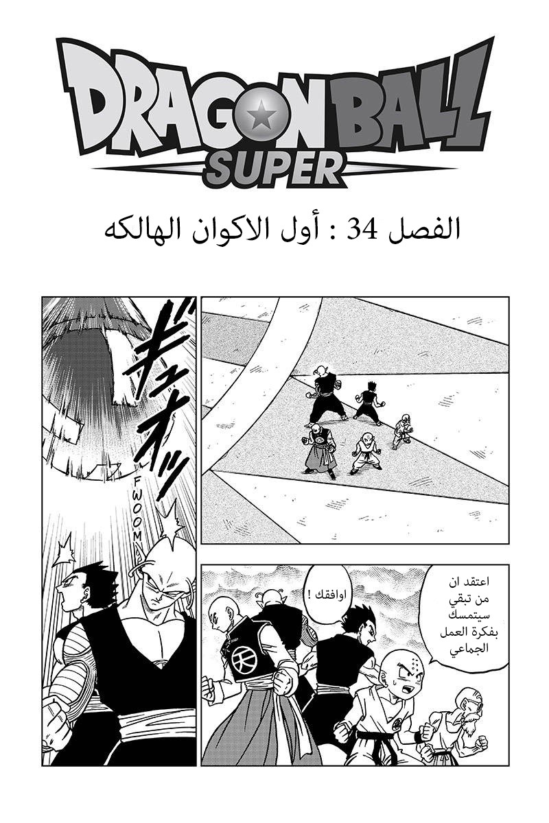 Read Dragon Ball Super AR Manga Online