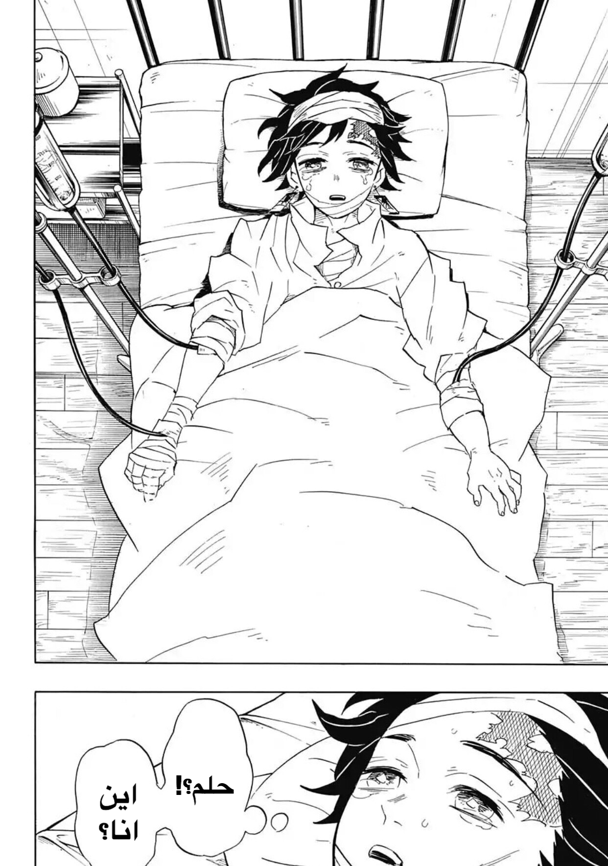Read Kimetsu no Yaiba AR Manga Online
