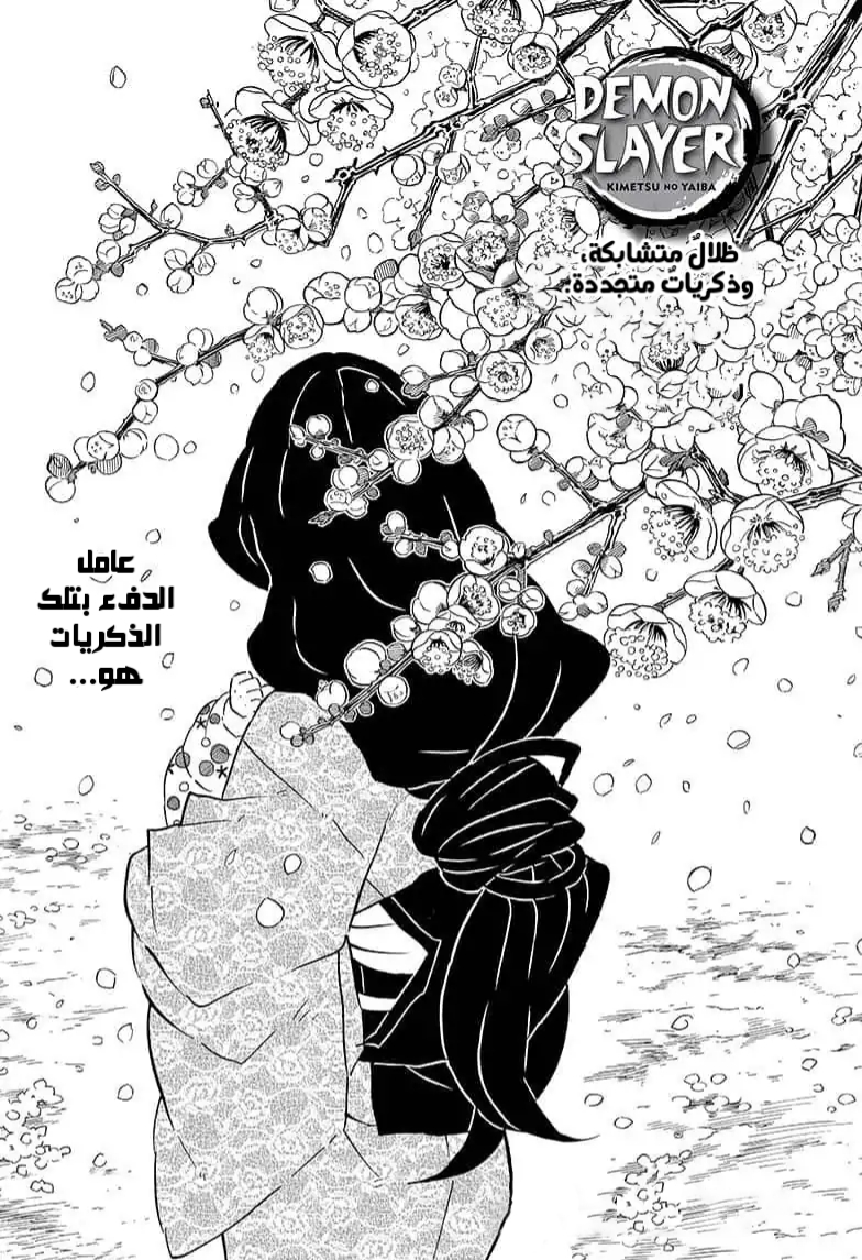 Read Kimetsu no Yaiba AR Manga Online