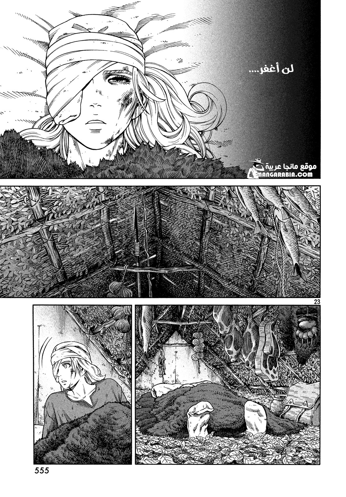 Read Vinland Saga AR Manga Online