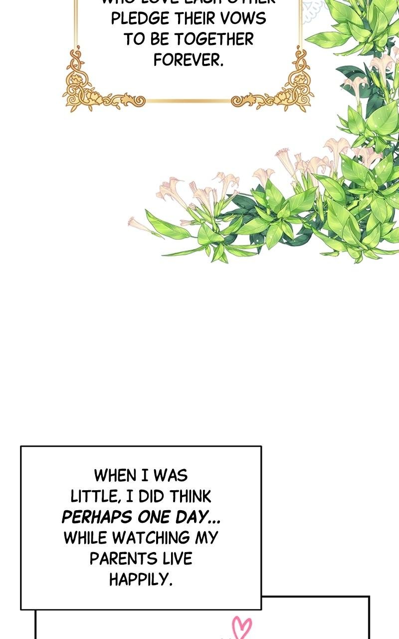 Read Daytime Star EN Manga Online