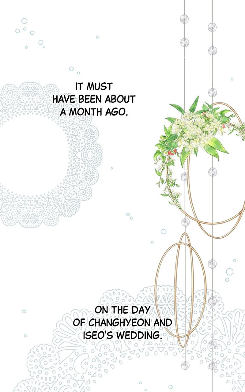 Read Daytime Star EN Manga Online