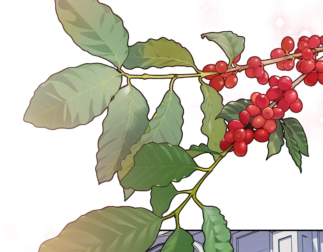 Read Doctor Elise EN Manga Online