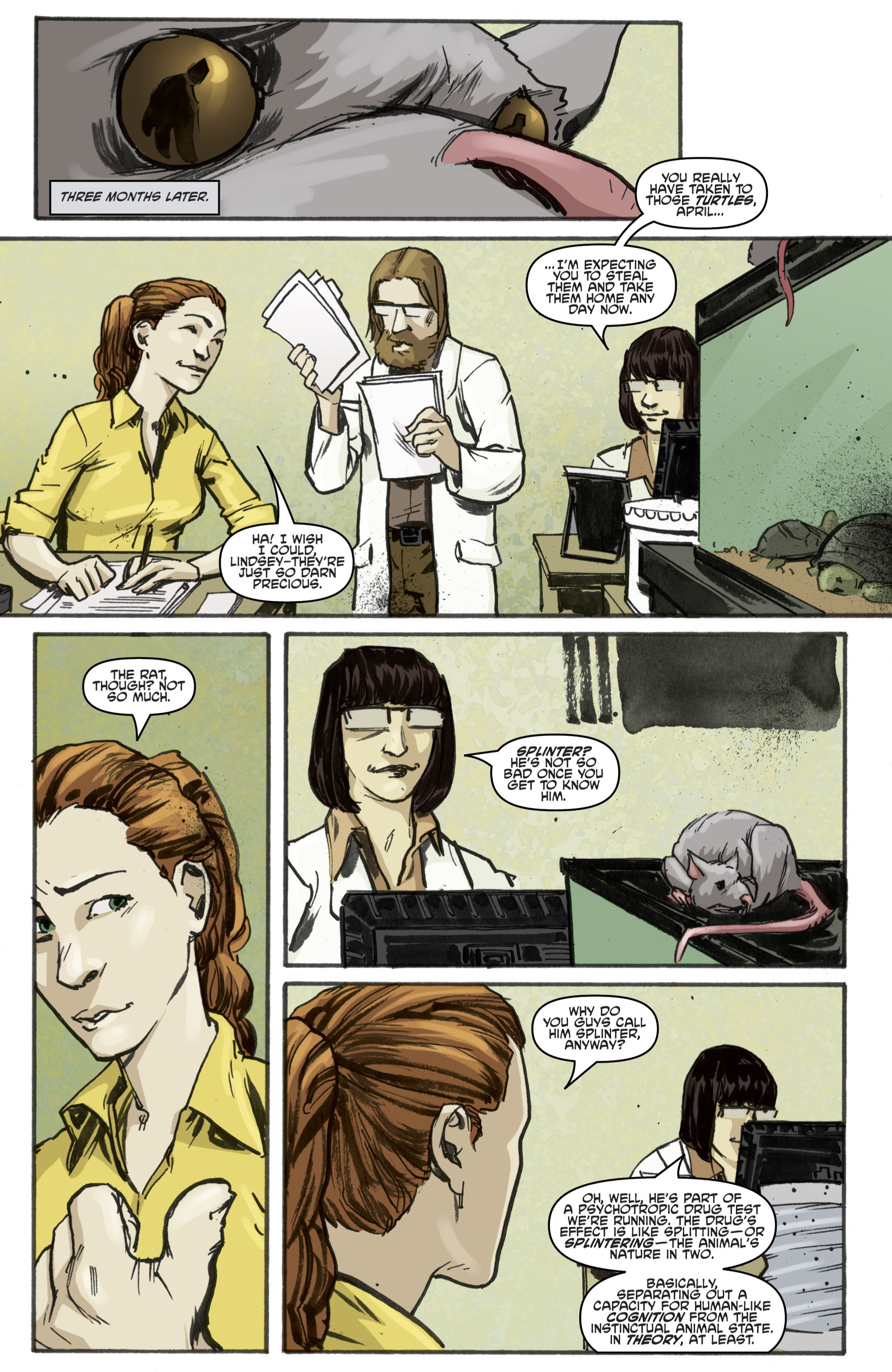 Read Teenage Mutant Ninja Turtles (2011) EN Manga Online