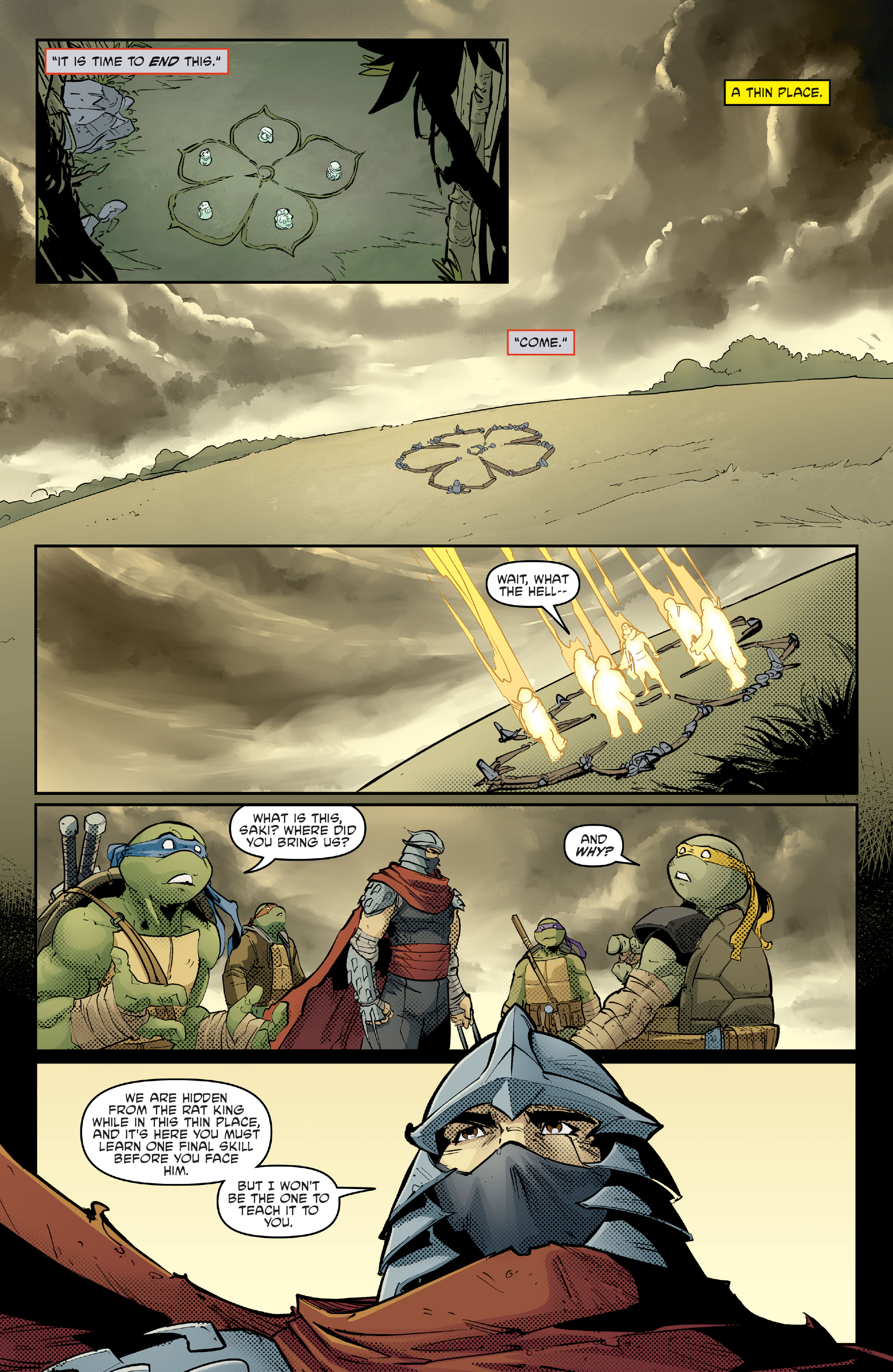 Read Teenage Mutant Ninja Turtles (2011) EN Manga Online