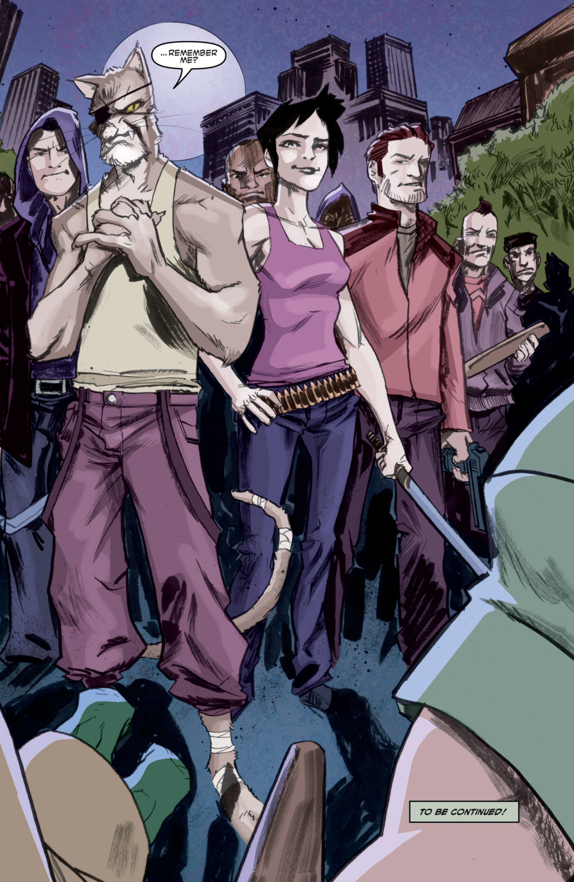 Read Teenage Mutant Ninja Turtles (2011) EN Manga Online