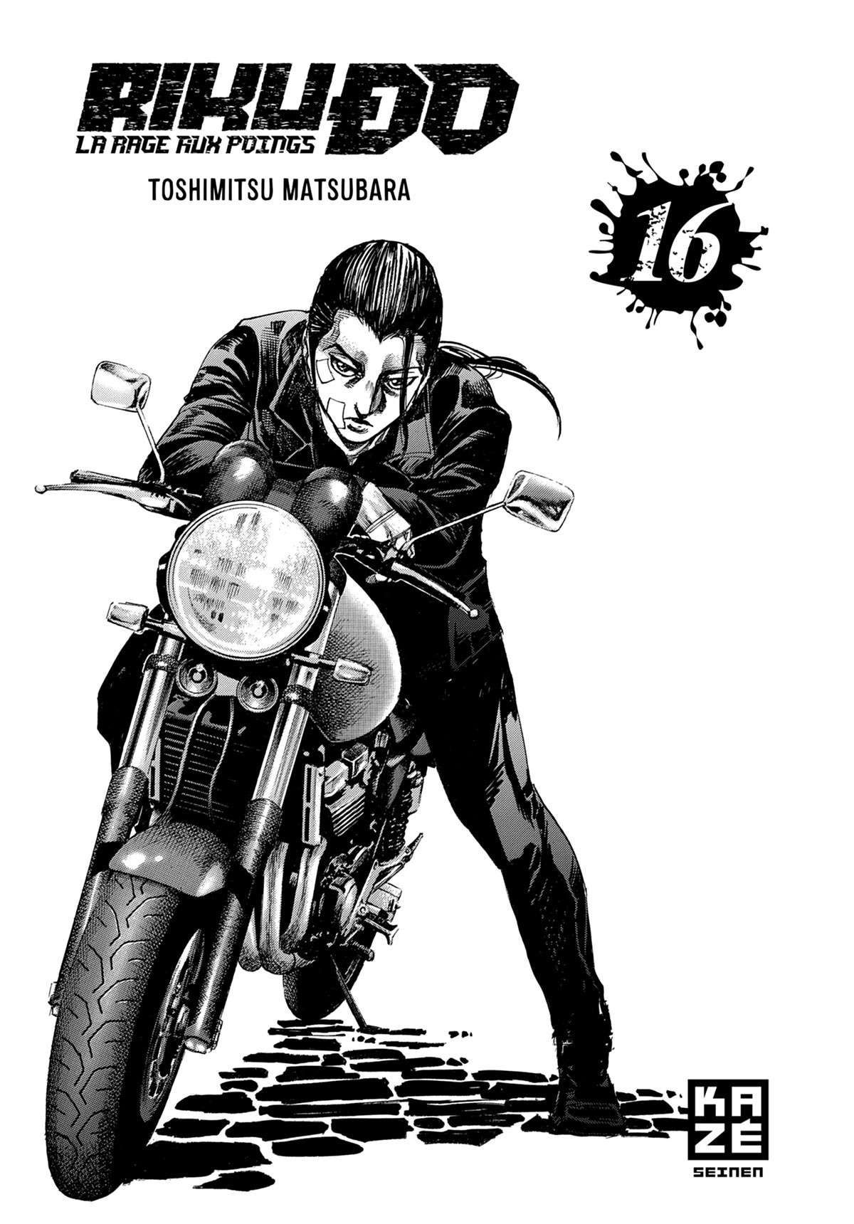 Read Riku-do FR Manga Online