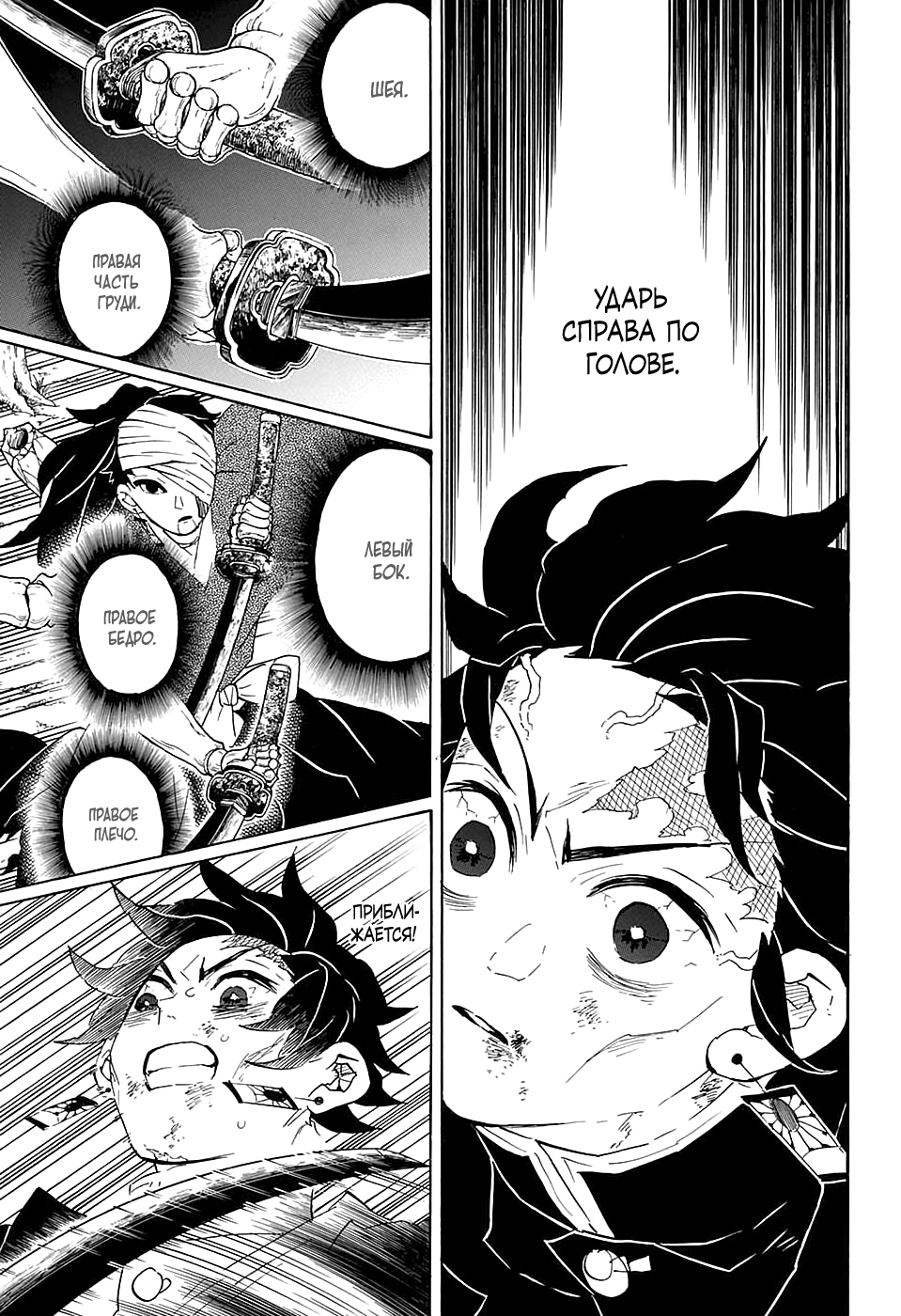Read Demon Slayer RU Manga Online