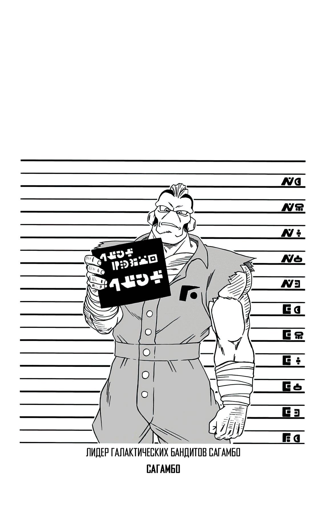 Read Dragon Ball Super RU Manga Online