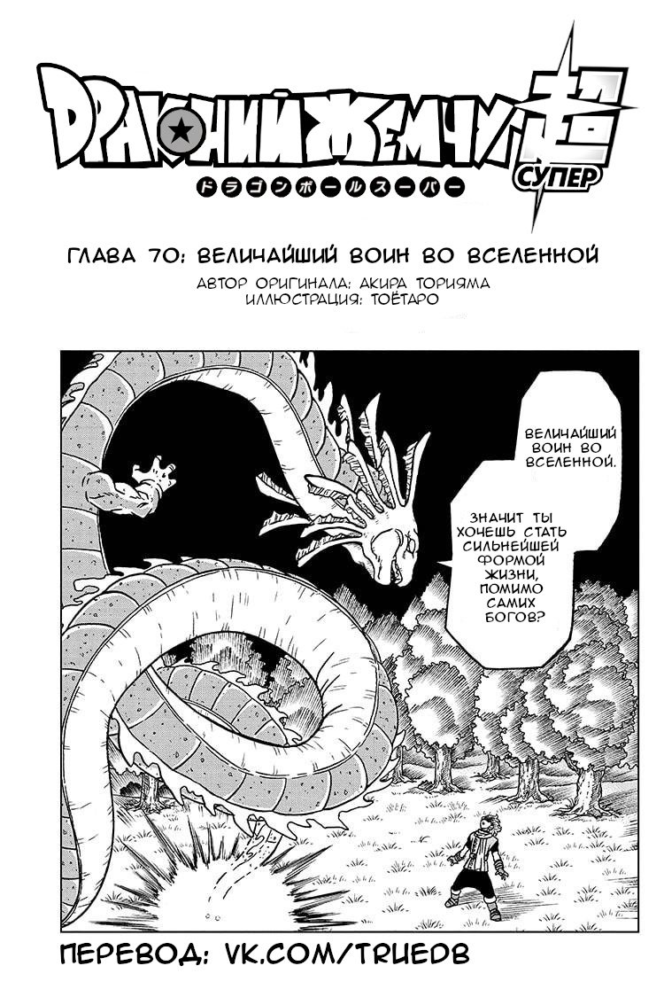 Read Dragon Ball Super RU Manga Online