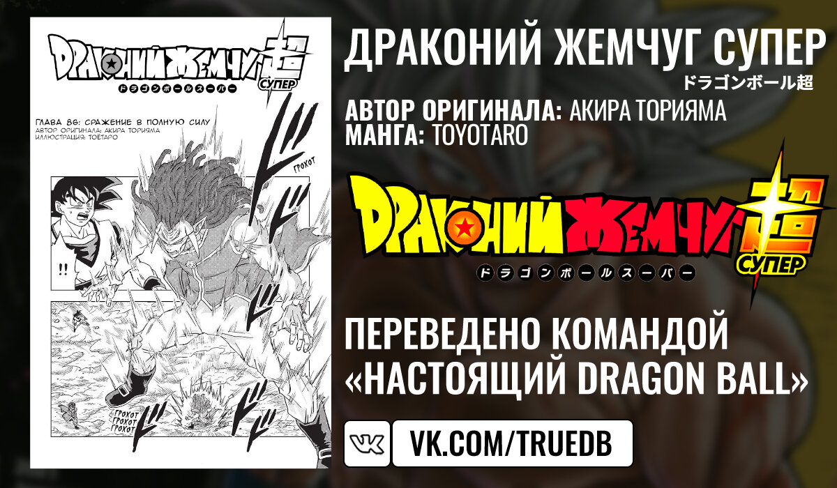 Read Dragon Ball Super RU Manga Online
