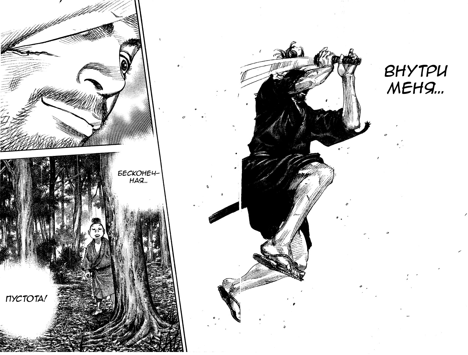 Read Vagabond RU Manga Online