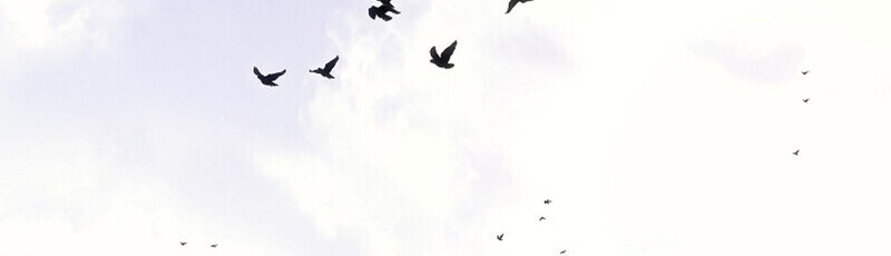 Read Regressing as the Reincarnated Bastard of the Sword Clan TH Manga Online